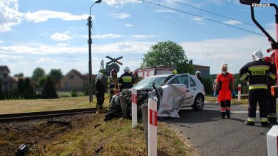 Wjechała pod pociąg osobowy, cudem uniknęła śmierci. Fot. Policja Śląska