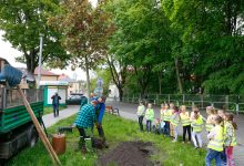 Katowice posadzą kolejne drzewa z aplikacji. Pierwsze nasadzenia już jesienią (fot.UM Katowice)