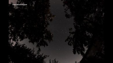 Jutro wspólne oglądanie perseidów na Stadionie Śląskim [WIDEO]