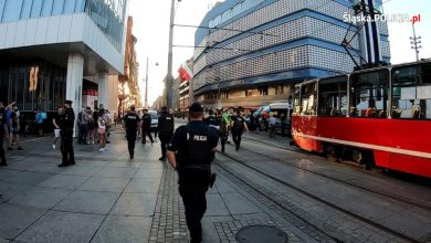 Katowice: Policja zatrzymała mężczyznę, który hajlował podczas manifestacji narodowców (fot.KWP Katowice)