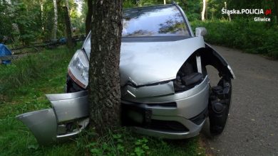 W zmiażdżonym na drzewie Citroenie była czwórka dzieci. Wszystkie bez fotelików, 2,5-letnia dziewczyna na kolanach braciszka! (fot.KMP Katowice)