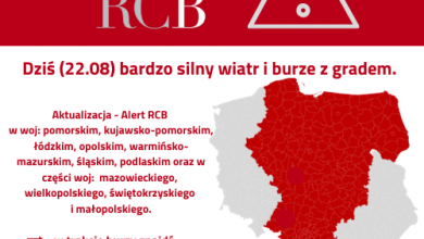 POTĘŻNE burze i silny wiatr nadciągają nad Śląsk! ALERT RCB 22.08