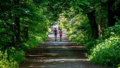 Kolejny Rudzki Półmaraton Industrialny za nami! (fot. silesia.info.pl)