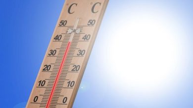 Śląskie: Przygotujcie kremy z filtrem. Przed nami upalny weekend (fot.UM Bytom)