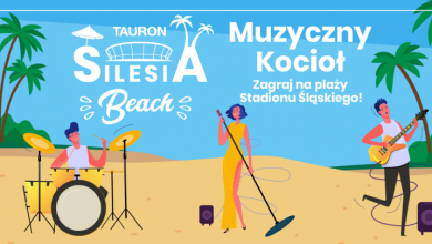 Muzyczny Kocioł na plaży Stadionu Śląskiego (fot. silesia.info.pl)