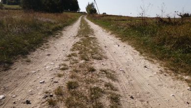 Żarki i Olsztyn połączy droga rowerowa. Znalazły się miliony na ważną inwestycję