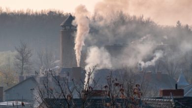 Rybnik: Dziś ruszył nabór wniosków do programu "Stop Smog" (fot.Polski Alarm Smogowy)