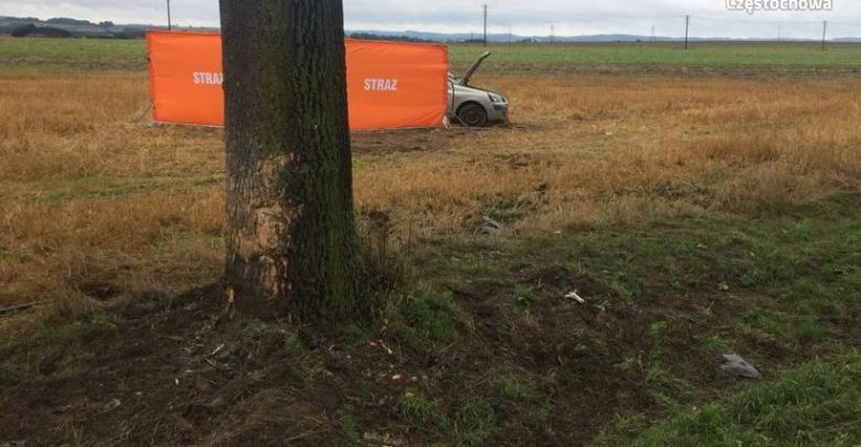 Śląskie: Tragiczny wypadek na DK46 w gminie Lelów. Dwie osoby nie żyją (fot.Śląska Policja)