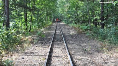 Tarnowskie Góry: Wąskotorówka potrąciła mężczyznę! 27-latek leżał na torowisku