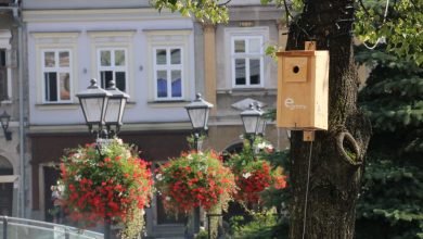 Budki dla ptaków z kodem QR, kablami i Wi-Fi w Bielsku. Do czego służą? Fot. UM Bielsko-Biała