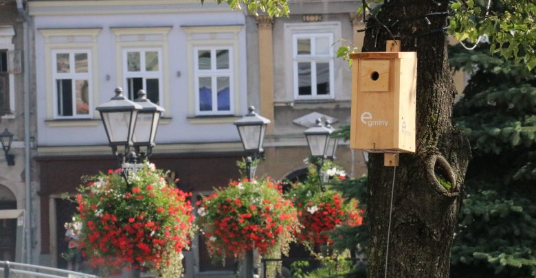 Budki dla ptaków z kodem QR, kablami i Wi-Fi w Bielsku. Do czego służą? Fot. UM Bielsko-Biała