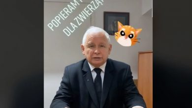 Jarosław Kaczyński na TikToku! Rzucił wyzwanie Mateuszowi Morawieckiemu i Krzysztofowi Sobolewskiemu 