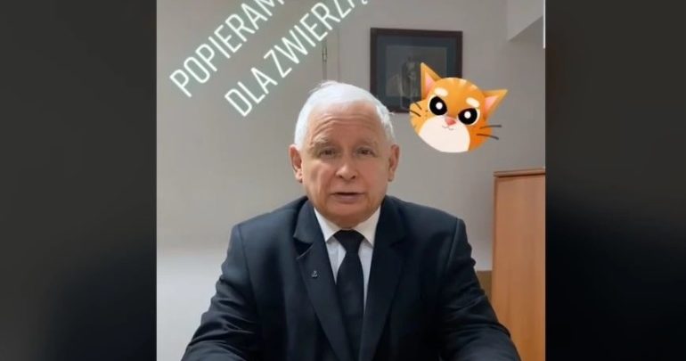 Jarosław Kaczyński na TikToku! Rzucił wyzwanie Mateuszowi Morawieckiemu i Krzysztofowi Sobolewskiemu 