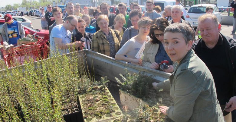 W Bielsku rozdadzą 9 tysięcy drzew i kwiatów. Fot. Fundacja Arka