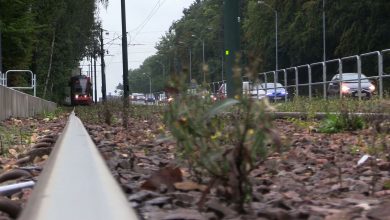 Katowice: Tramwaj na Południe pojedzie! Jest pozytywna decyzja środowiskowa ws. nowej linii