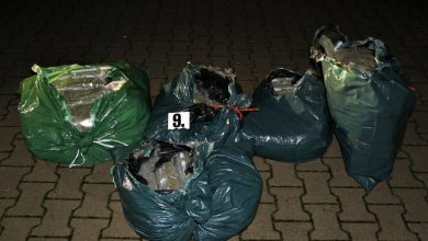 Funkcjonariusze z Nadodrzańskiego Oddziału SG zabezpieczyli w Wolsztynie19,5 kg marihuany o czarnorynkowej wartości ponad 2,3 mln zł (fot.Straż Graniczna)