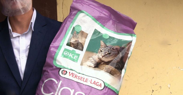 700 kilogramów! Imponujący wynik zbiórki karmy dla kotów w Żorach