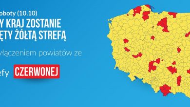 Coraz więcej przypadków koronawirusa na Śląsku! Gdzie są nowe ogniska COVID-19? (foto.Ministerstwo Zdrowia)