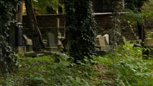 Ocalić od zapomnienia. Grupa społeczników sprząta cmentarz żydowski w Mysłowicach