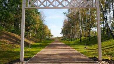 Jaworzno ma nowy park. To Park Angielski. Fot. UM w Jaworznie