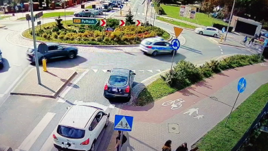 Kobieta pogryziona przez szerszenie. Do szpitala eskortowali ją policjanci z grupy Speed (fot.policja.pl)