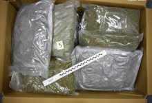 Potężne uderzenie w śląski narkobiznes! Policja przejęła narkotyki za kilka milionów złotych! (fot. Policja Śląska)