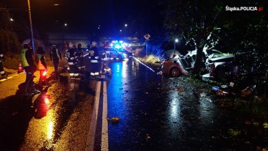 Rybnik: Kierowca BMW uderzył w drzewo. Zginęła 19-latka (fot.Śląska Policja)