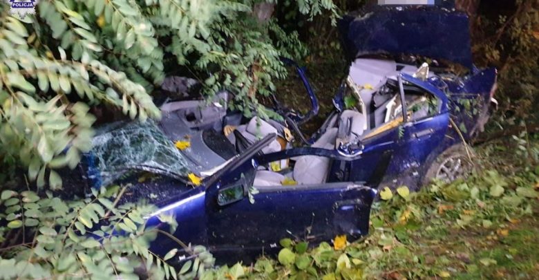 Kierowca BMW uderzył w drzewo. Nie żyje. Zginął również 15-latek (fot.Policja Lubelska)