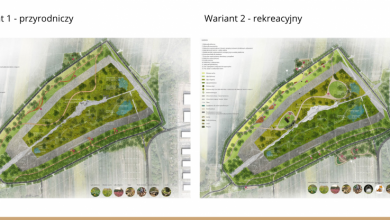 Jak powinny wyglądać Wilcze Doły? W Gliwicach rozpoczynają się konsultacje społeczne