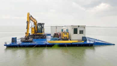 Śląskie: Na jeziorze budują sztuczną wyspę! Wiadomo już, kto na niej zamieszka foto. katowice.rdos.gov.pl