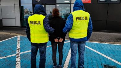 Wyrzucili psa przez okno, bo wskoczył na stół w trakcie kolacji. Zwierzę zginęło (fot.policja.pl)