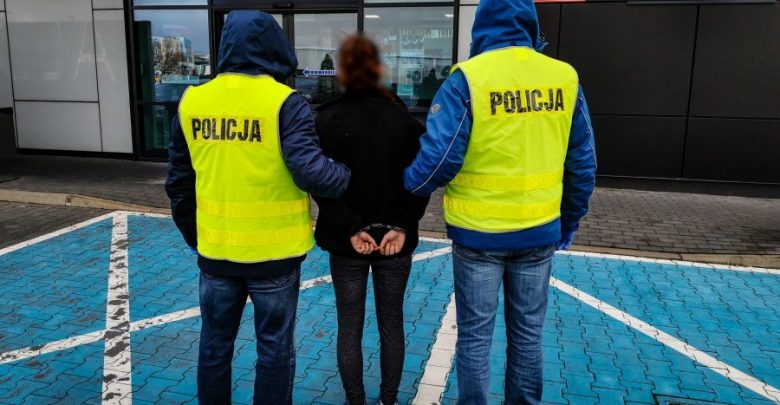 Wyrzucili psa przez okno, bo wskoczył na stół w trakcie kolacji. Zwierzę zginęło (fot.policja.pl)