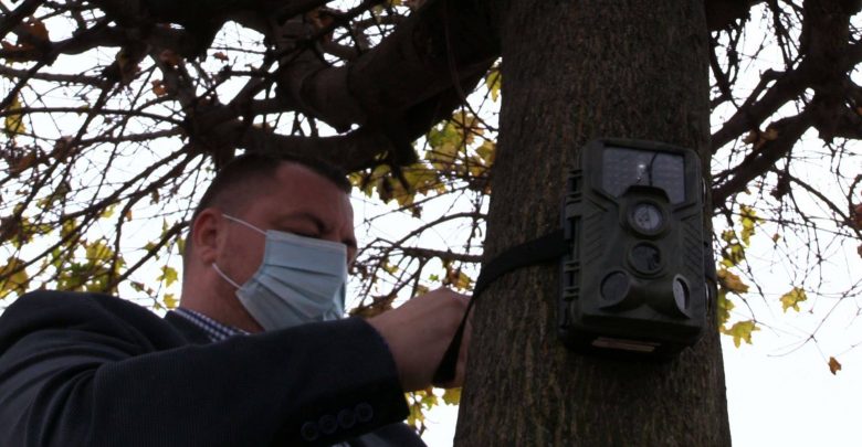 Śląskie: Drzewa mają oczy! Fotopułapki wypatrzą podrzucających śmieci idiotów