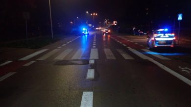 Śląskie: Piesza potrącona przez kierowcę BMW. Kobieta nie żyje przez nadmierną prędkość (fot.Śląska Policja)