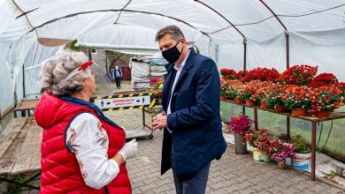 Bytom: Miasto organizuje pomoc dla sprzedawców chryzantem (fot.UM Bytom)