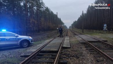 Śląskie: Pochłonęły go grzyby. Na pomoc ruszyli policjanci (fot.Śląska Policja)