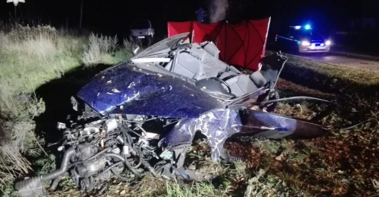 Dwóch 19-latków zginęło w zmiażdżonym Audi! Koszmarny wypadek w Gościeradowie (fot.policja.pl)