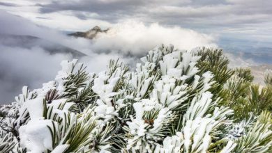 Nad Polskę nadciąga ochłodzenie. Pod koniec tygodnia spadnie śnieg [PROGNOZA POGODY]