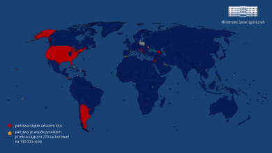 Zakaz lotów do 10 państw. Gdzie nie polecicie? (fot. MSZ)