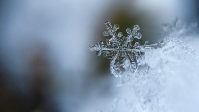 Nadchodzi zima! Katowice są już na nią gotowe (fot.poglądowe/www.pixabay.com)