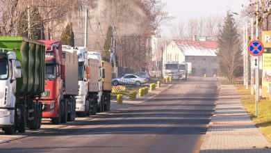 W Bytomiu przybędzie drzew. Ponad 100 pojawi się przy przemysłowej ulicy św.Elżbiety