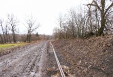 Protesty nie pomogły. Wzdłuż linii kolejowej Cieszyn-Goleszów wyciętych zostanie 800 drzew