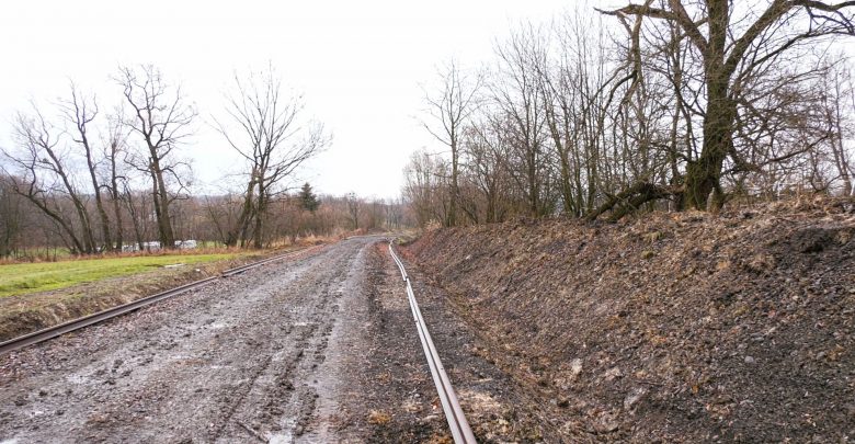 Protesty nie pomogły. Wzdłuż linii kolejowej Cieszyn-Goleszów wyciętych zostanie 800 drzew