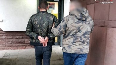 Częstochowa: Pobił pieszego, bo ten zwrócił mu uwagę, że brawurowo jeździ (fot.Śląska Policja)