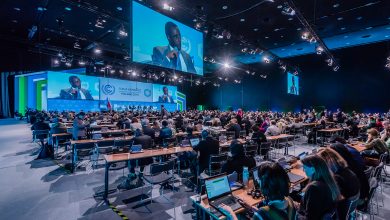 Po zakończeniu COP 24 został przyjęty „Plan adaptacji miasta Katowice do zmian klimatu do roku 2030” oraz podjęto szereg innych działań. [fot. Radosław Kaźmierczak / materiały prasowe]