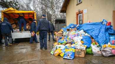 Piękny gest szkół z Częstochowy. Zebrali ponad 3,5 tony karmy dla zwierząt. Fot. UM Częstochowa