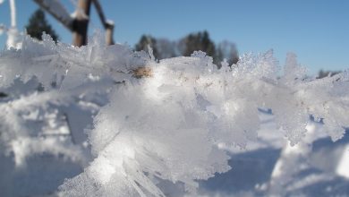 Są wytyczne dla organizatorów półkolonii w szkołach podstawowych