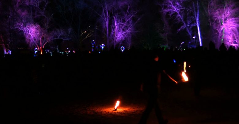 Wczoraj około 2000 osób zgromadziło się w Parku Słupna w Mysłowicach na pokazach iluminacyjnych