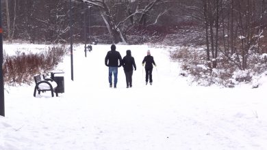 Jak narciarstwo biegowe to na pewno w Rybniku!