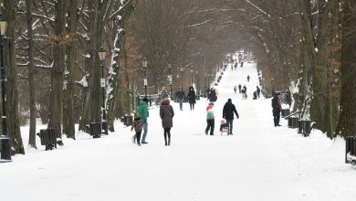 Wielu nie mogąc spędzić Walentynek tak jak w poprzednich latach starało się zadowolić wspólnym wypadem do kina, jazdą na łyżwach czy chociażby zwykłym spacerem w parku